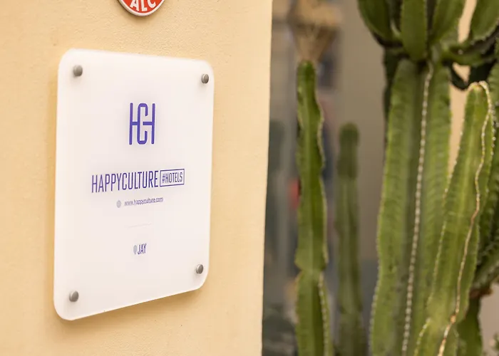 ذا جاي باي هابي كولتشر 4* نيس