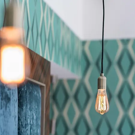 The Jay By Happyculture Nice